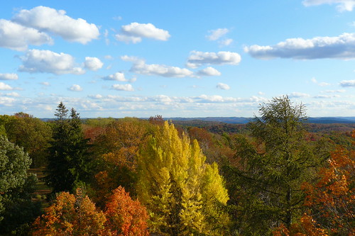 park trees ohio sky sun tower clouds forest fire ranger state horizon lookout route trail 23 scioto