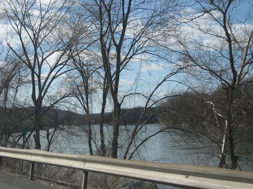 trees plants newyork water river view upstatenewyork binghamton