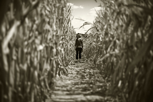 portrait bw field standing interestingness corn waiting dof farm