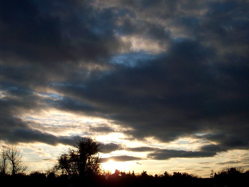trees sunset sky sun tree home clouds evening scenery springfieldmissouri theozarks rottlady rottladyhome
