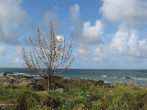 sea mer france bay coast view côte vue 44 baie jumel lecroisic paysdelaloire loireatlantique croisic