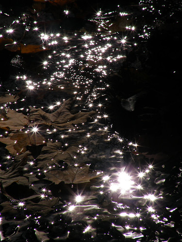 autumn black fall nature water reflections karma inthebeginning seeinstars theworldthroughmyeyes itsabeautifullife thebeautyofnature elpasojoes freenature photographersgonewild