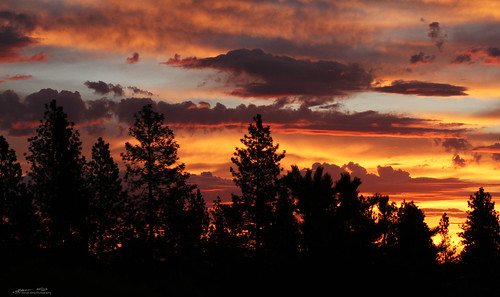 trees orange sun storm rain weather clouds sunrise canon fire spokane king wa steven