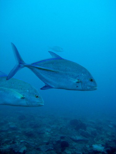 Sodwana Bay