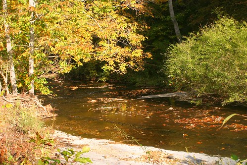 park autumn trees fall water leaves creek canon walking morninglight woods october nashville tennessee canoneos10d 10d beamanpark joelton jessinfocus
