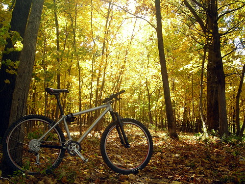 leaves bike bicycle yellow forest golden trail mtb columbiamo garyfisherbikes rhettsrun