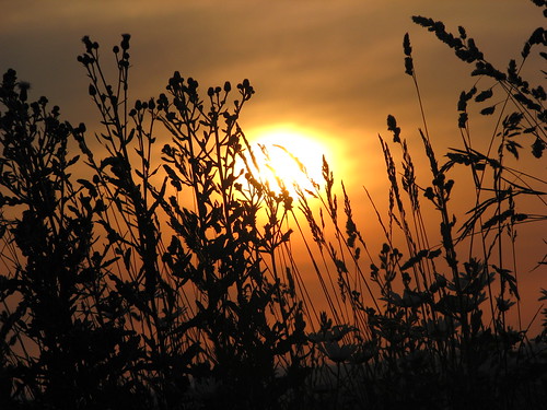 sun nature sunrise canon luca alba powershot sole balletti luballets