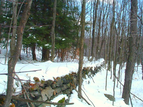 road winter wild mountains stone wall creek highlands pennsylvania small hunting tram clear shade area laurel scenes gmae