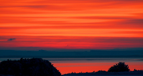 uk morning red sunrise dawn scotland interestingness explore newyearseve sutherland hogmanay dornoch firth gorse dornochfirth anawesomeshot