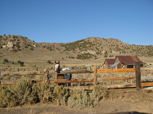 horse barn nevada vya