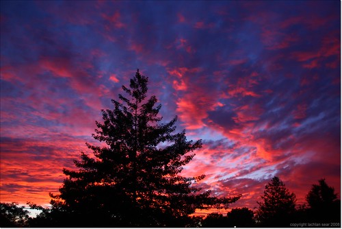 pink blue sunset red orange cloud tree silhouette interestingness interesting scout explore fluke top500