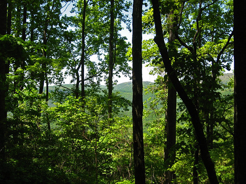 mountain trees nature georgia