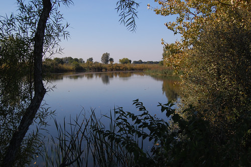 reflection still pond prairie midewin willcounty