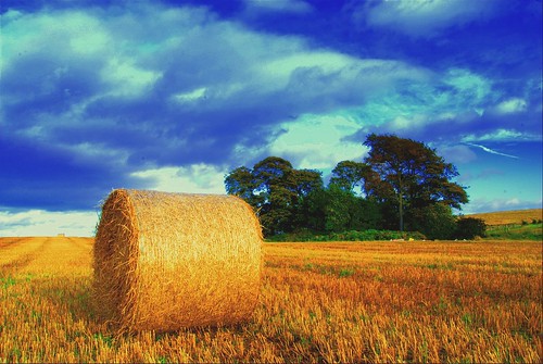 blue nature field gold scotland scenery glasgow harvest bale firstquality anawesomeshot
