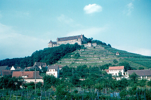 castle germany deutschland vineyard wine schloss burg wein 1960 heilbronn badenwürttemberg untergruppenbach württemberg wurttemberg stettenfels