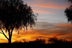 Golden Hour Sunset colors in Arizona