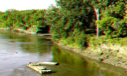 bridge tree bird rural river stereoscopic stereophoto 3d wildlife anaglyph anaglyphs redcyan 3dimages 3dphoto 3dphotos 3dpictures stereopicture