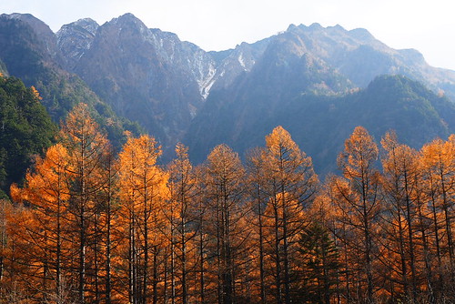 autumn mountain japan landscape