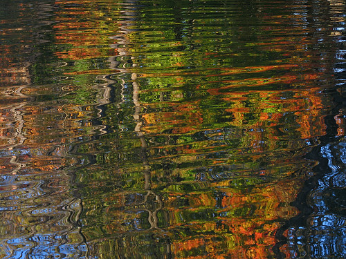 autumn reflection fall water leaves canal dusk nj ripples somersetcounty griggstown delawareandraritancanal