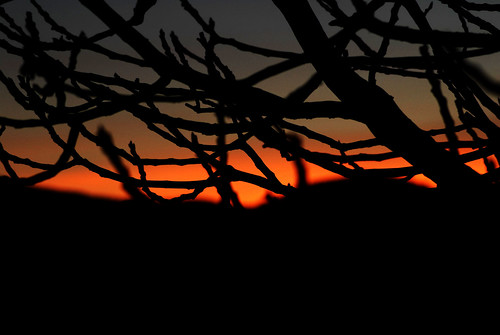 sunset tree luca nikon tramonto weekend d200 rami balletti alberp ossegna luballets
