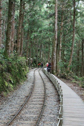 forest geotagged track walk ilan 太平山 geo:tool=yuancc 茂興 canoneoskissx2 geo:lat=24493518 geo:lon=121536117