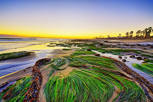 ocean california sunset seascape seaweed beach landscape kelp lowtide hdr highdynamicrange ventura surferspoint specland d700 dynamicphotohdr 1424mm