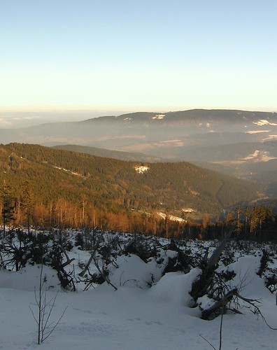 winter snow tree nature sunshine clouds forest geotagged view czech valley inversion mountainrange šumava hamry důlpodostrým geo:lat=49204974 geo:lon=13111008