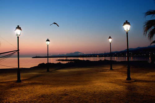 morning light sea sky bird crete rethymno lampposts κρήτη θάλασσα πουλί πρωί φανάρια ρέθυμνο ουρανόσ φωσ