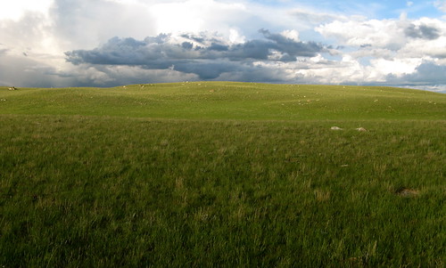 blue sky white green grass clouds montana prairie