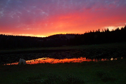 sunset lake nature sunrise amazing camfire perfectsunsetssunrisesandskys camfirephotos