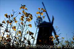 John Webb's Windmill, Thaxted