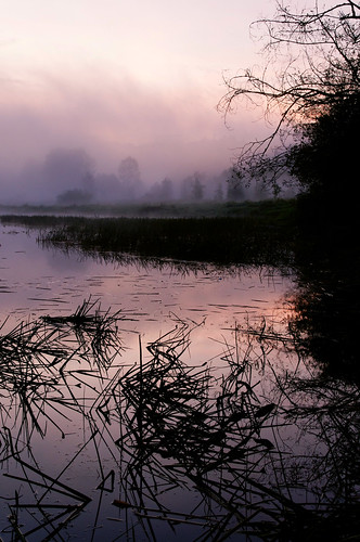 mist lake reflection fog sunrise scenic wa clearview untiedstatesofamerica