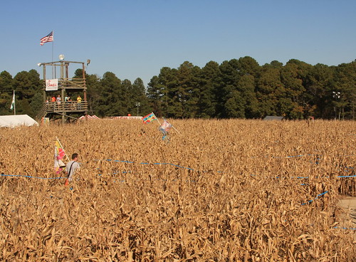 november autumn sky field corn cornfield bluesky cornmaze wakecountync kenskornycornmaze