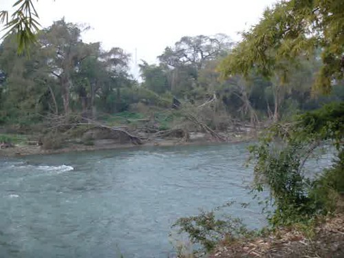 méxico río sunrise river amanecer huasteca sanluispotosi sanluispotosí huastecapotosina