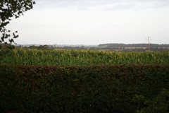 back garden view - Photo of Chantonnay