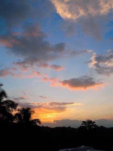 sunset mountain tree clouds sunrise coconut palm jamaica