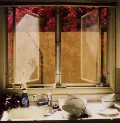 window kitchen polaroid dishes slr680 680