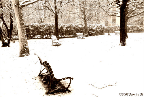 winter parco white snow cold ice nikon neve inverno bianco freddo nevicata benk forlì panchina giardinipubblici d80 sfidephotoamatori monicamongelli