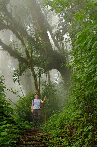 cloud lake green fog forest jen guatemala centralamerica lagodeatitlan volcansanpedro centroamérica