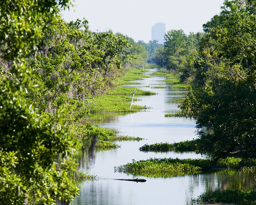 nature water nationalpark louisiana neworleans olympus lafitte bayou swamp nola 50200mm zuiko oly coquille e510 zd bayoucoquille lafittenationalpark