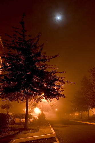 fog oregon foggy eugene canon10d nightshots 2008 foggynight southeugene spencerview