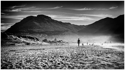 africa people bw beach dogs monochrome southafrica blackwhite sand nikon meer wasser mood outdoor capetown monochromatic schwarzweiss houtbay carlzeiss flickrheroes d3s distagondistagont1435zf2