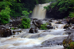 Upper Waterfall - Campsie Glen