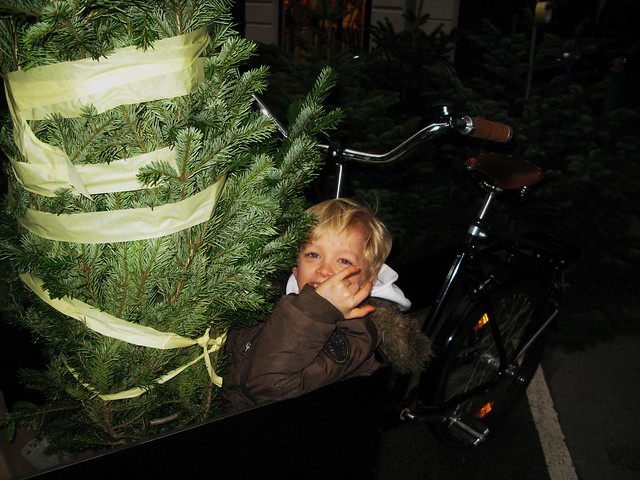 Felix and the Tree