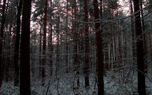 winter nature landscape pohorje