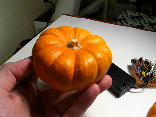 Stock Ticker Mini Pumpkin
