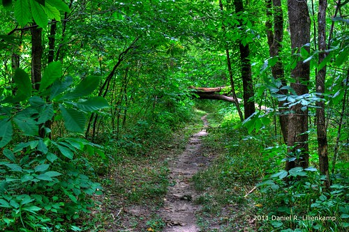 statepark canon woods missouri digitalrebel hdr montgomerycounty grahamcavestatepark 23jun2011