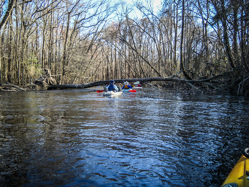 southcarolina kayaking paddling edistoriver lcu lowcountryunfiltered greenpondlanding whetstonelanding