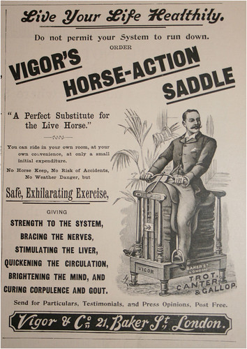 Vigor's Horse Action Saddle
