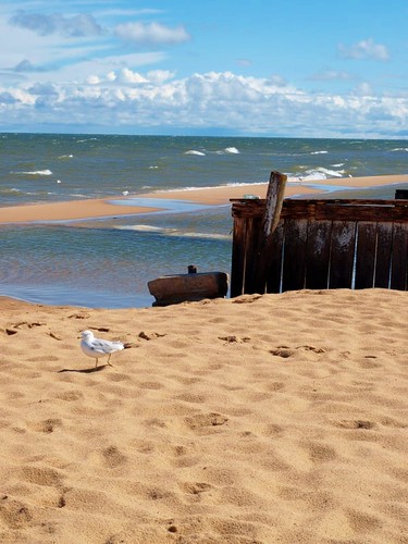 sunset summer beach boat sand waves michigan seagull lakehuron oscoda